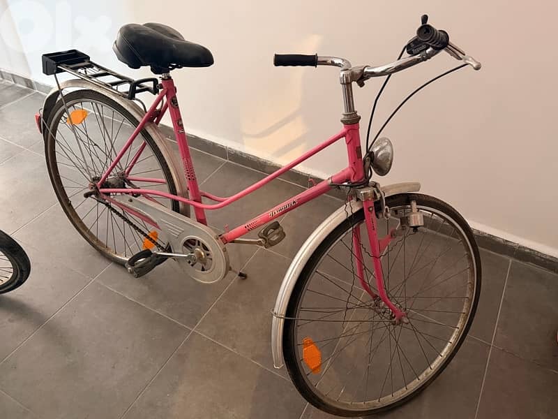 two adults bicycle 2