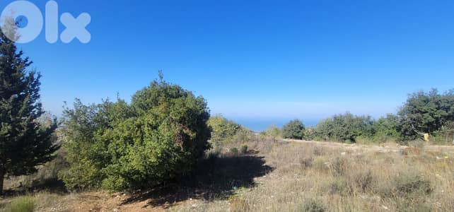 Land For Sale In Ajaltoun - أرض للبيع في عجلتون