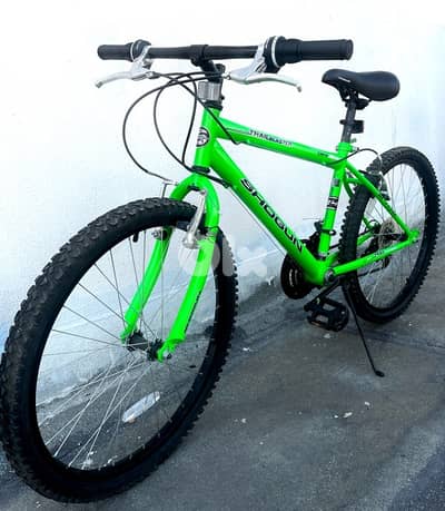 bicycle shogun with stand giat for 2 bike like new 150$