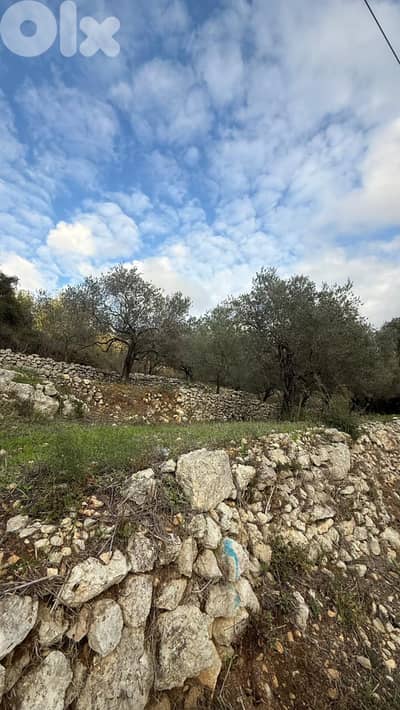 Land for sale in Batroun - أرض للبيع في بترون