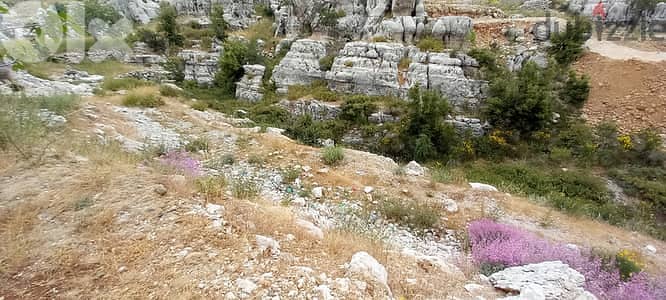 Land For Sale In Faitroun - أرض للبيع في فيترون