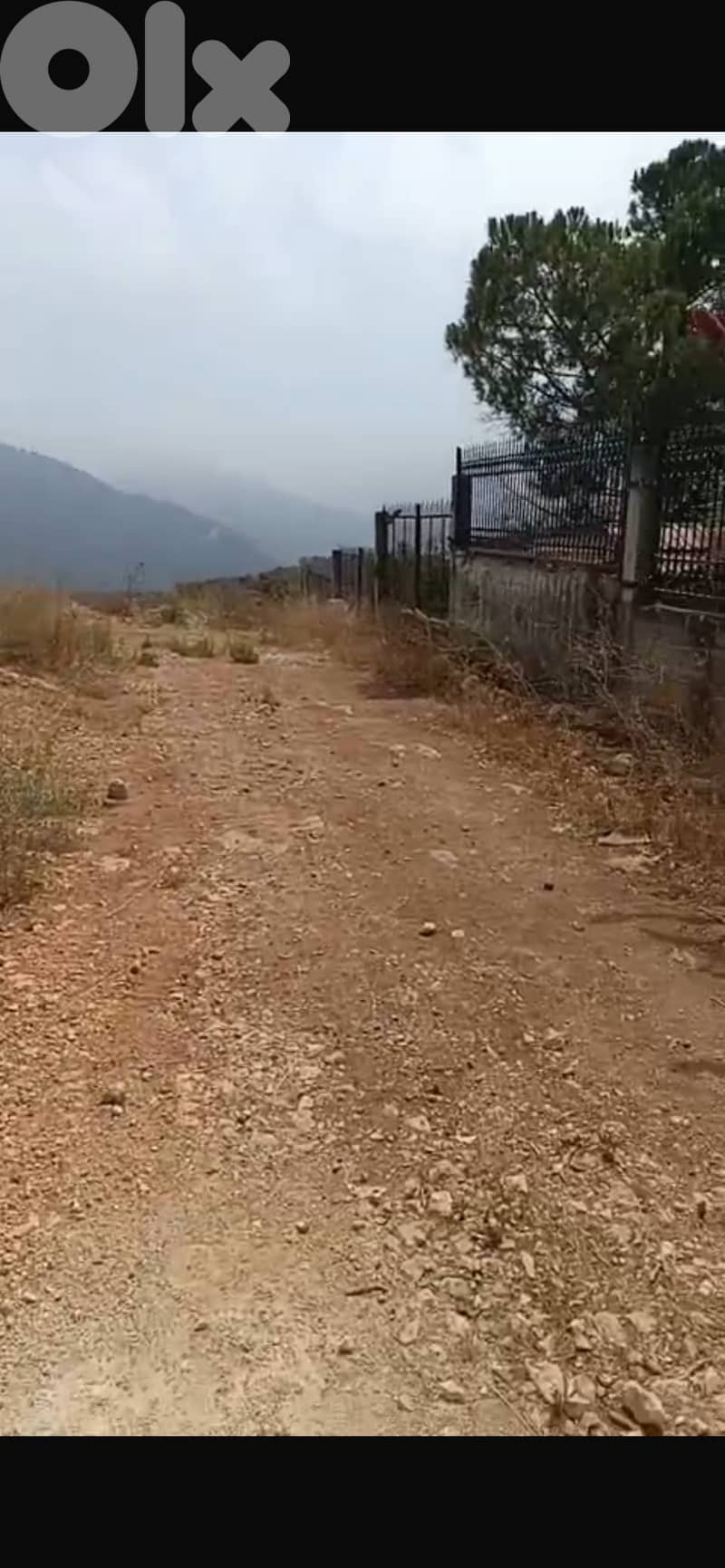 ارض ١٣٩٣م للبيع في الدبية 2