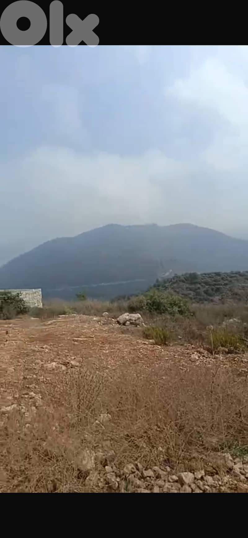 ارض ١٣٩٣م للبيع في الدبية 4