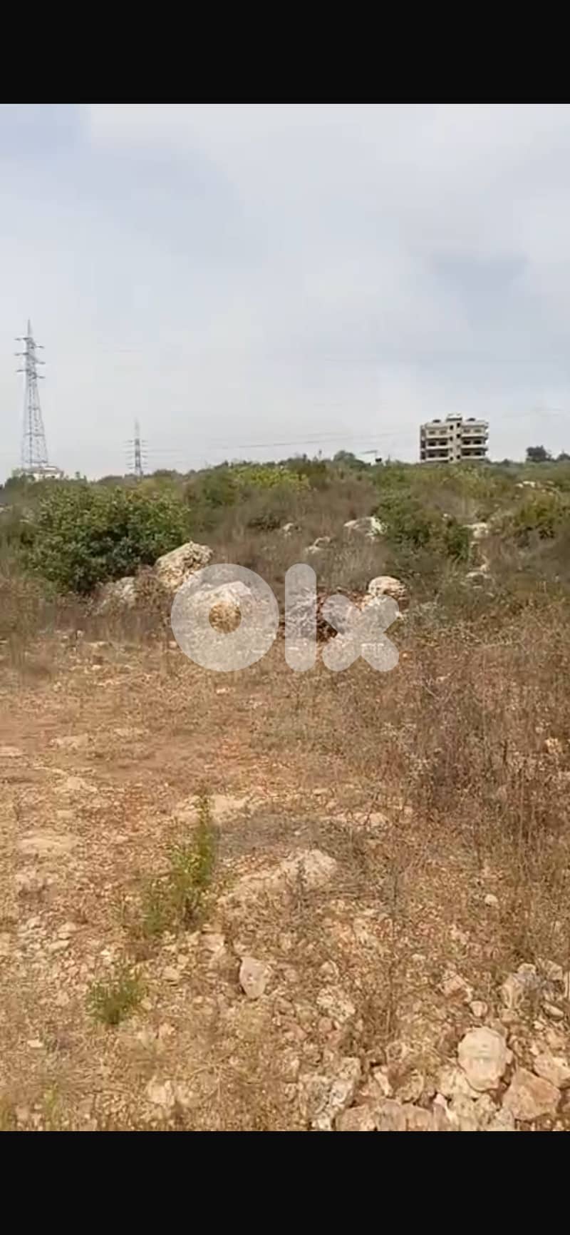 ارض ١٣٩٣م للبيع في الدبية 6