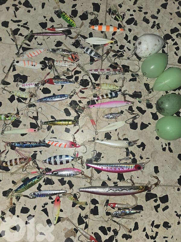 جغايات و تقال و بلابل كلن سوا ٣٠$ 1