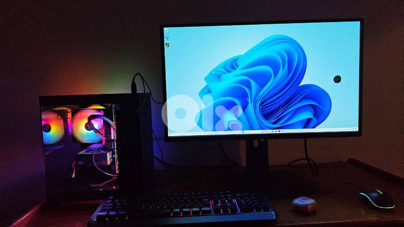 qd oled monitor 240hz 1