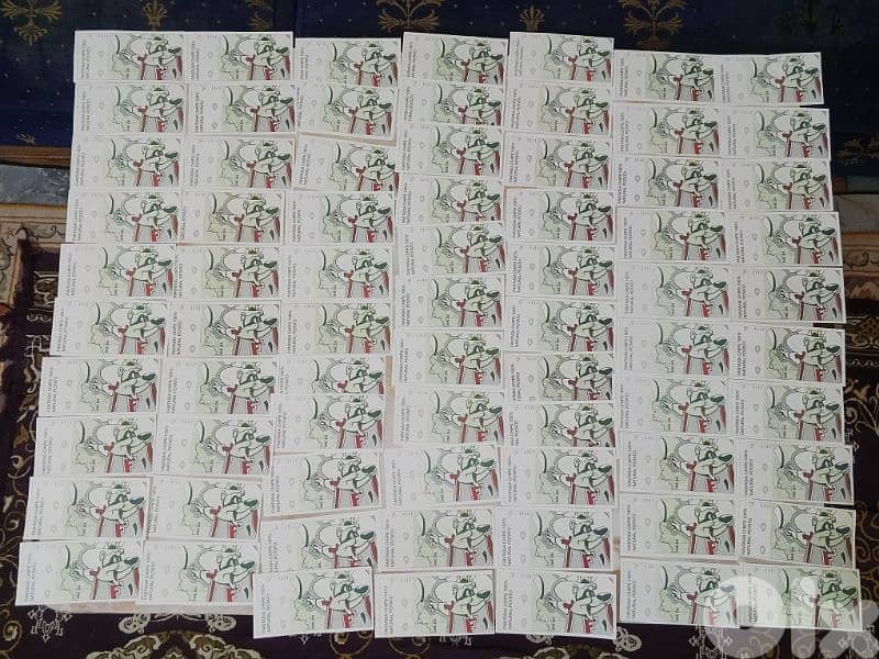 Fantasia Chips Zia Note Nostalgia 1