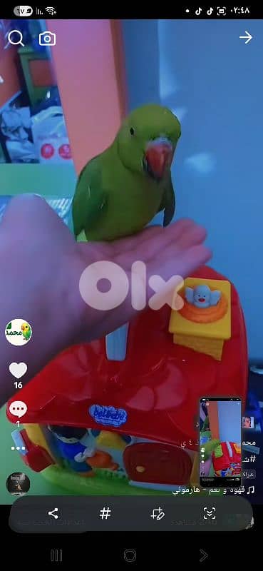 بيروت شياح 11