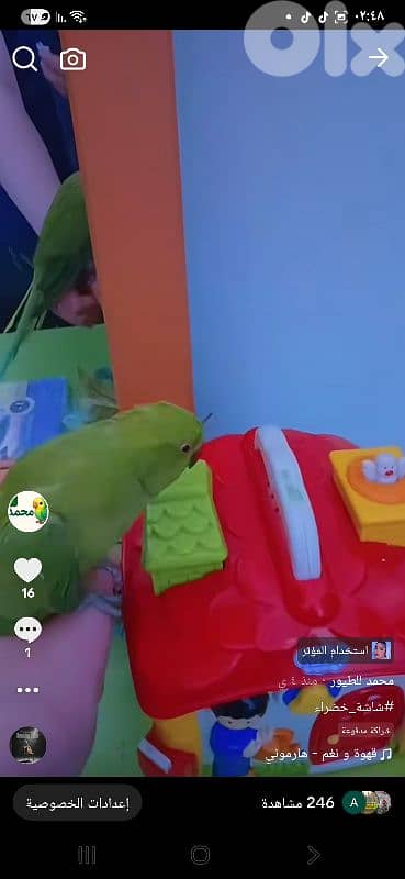 بيروت شياح 12