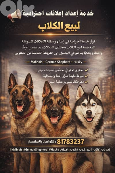 خدمه اعداد اعلانات احترافيه