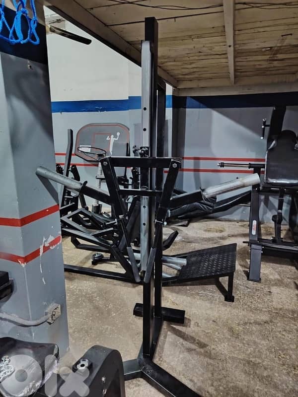 Lateral raises hammer machine new 2