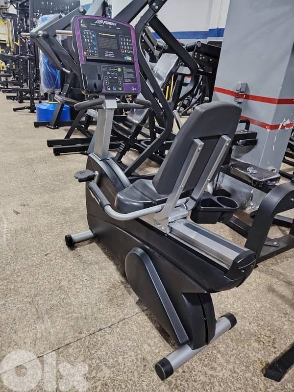 Lazy byke like new life fitness 1