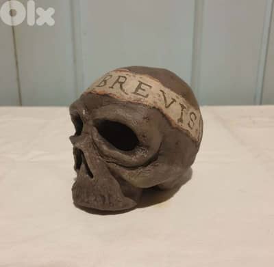 Antique Memento Mori Skull