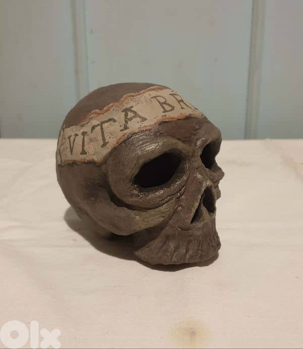 Antique Memento Mori Skull 1