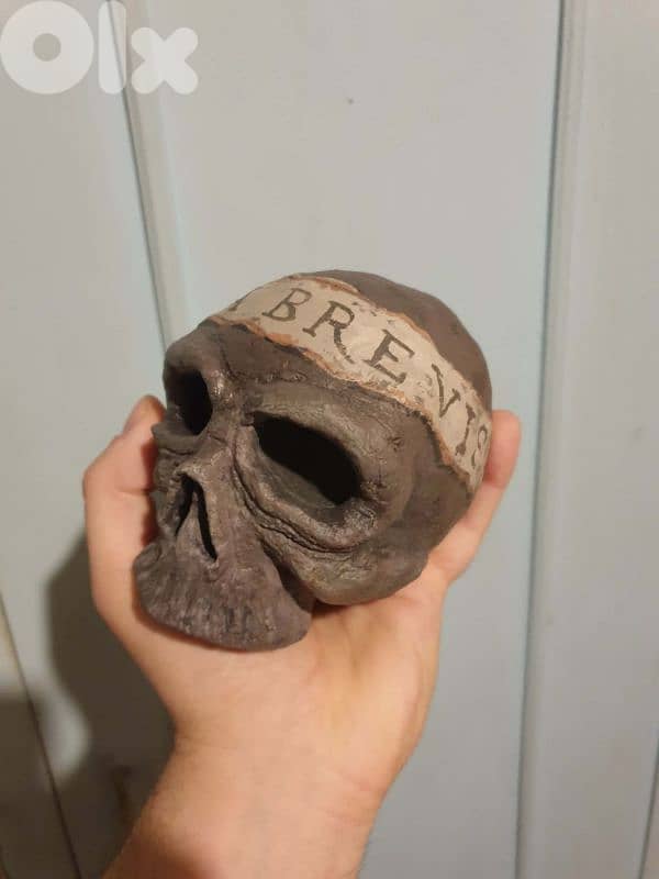 Antique Memento Mori Skull 2