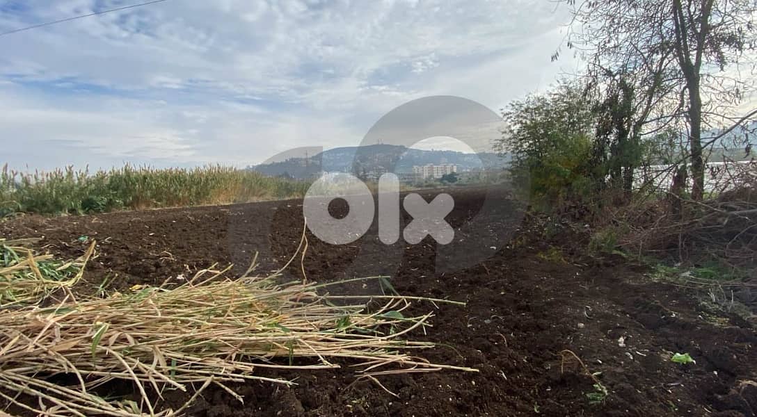 للبيع أرض في حلبا بمساحة 8,000 متر تقع مباشرة على الشارع. REF#SM130157 1