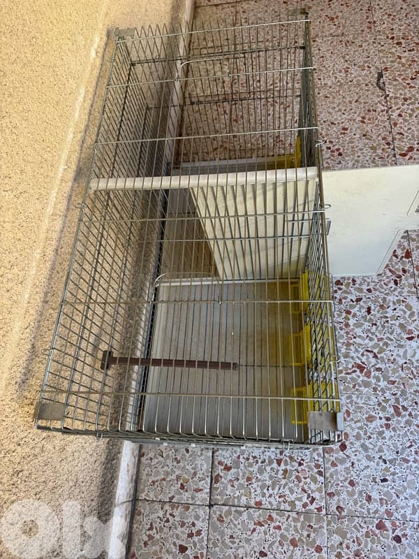 قفص عصافير 2