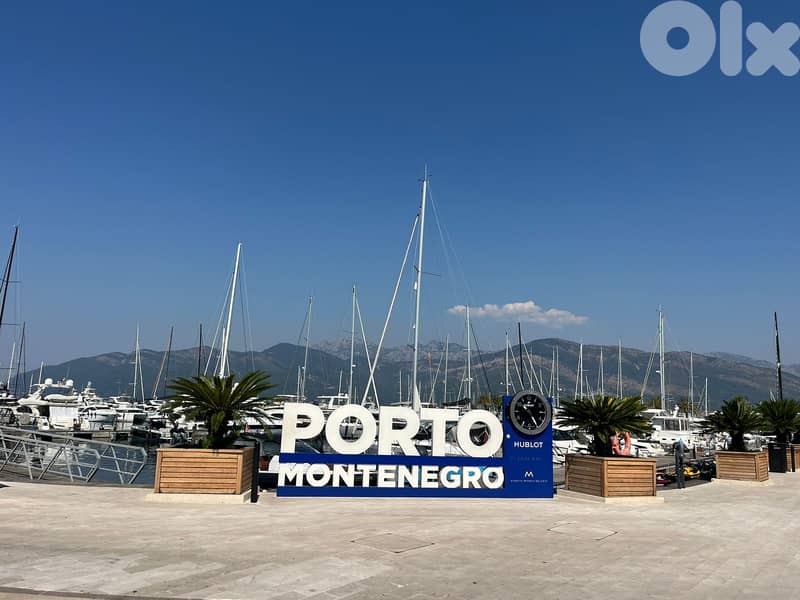 Residency citizenship comapny property tax service in montenegro 4