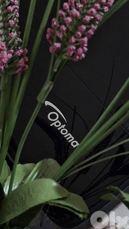 لقطة: بروجكتر Optoma أصلي - بحكم الجديد (مستخدم 88 ساعة فقط!) 5