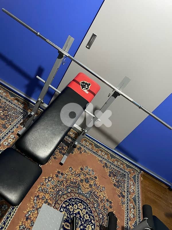 Full Home Gym Setup – Ready to Train 3