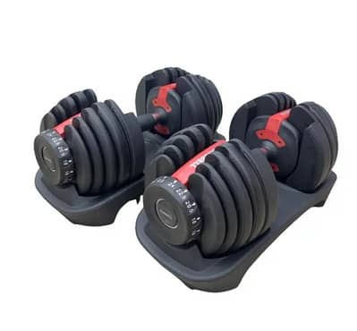 Adjustable bench and dumbbells (home gym)