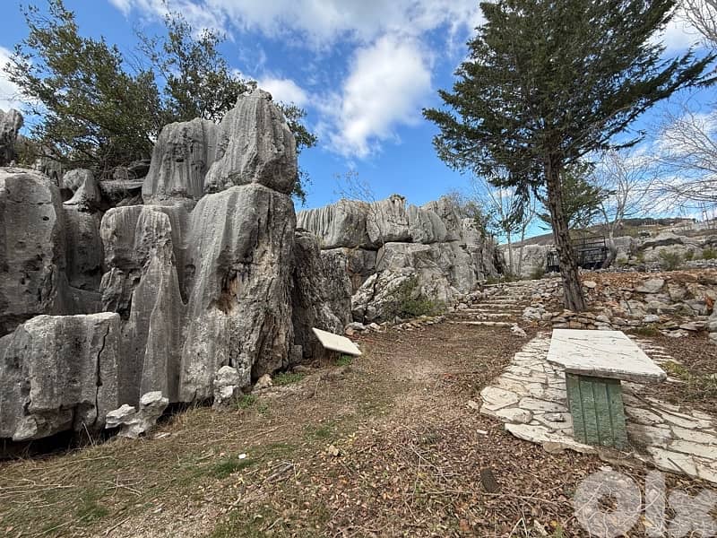 Unique & Rare Land For Sale in Faitroun- ارض خلابة ونادرة للبيع فيطرون 3