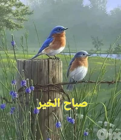 marketing تسويق