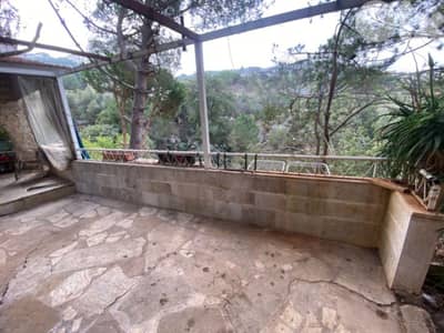 Furnished Apartment for Rent in Roumieh