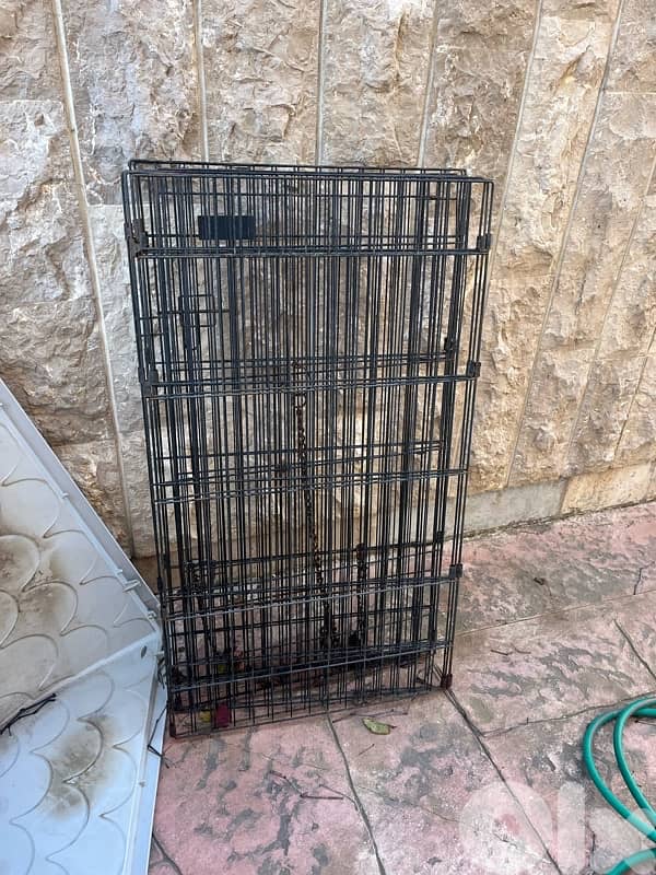 dog house and 1 cage 1