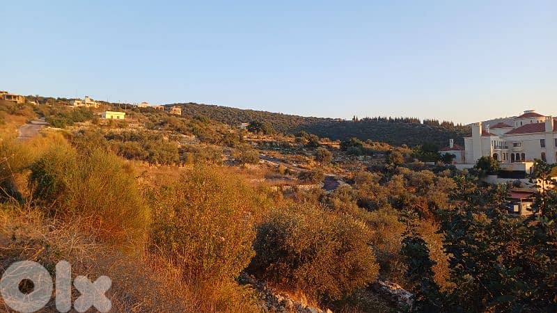 lands for sale in Kfar Abida أرض للبيع في كفرعبيدا 2