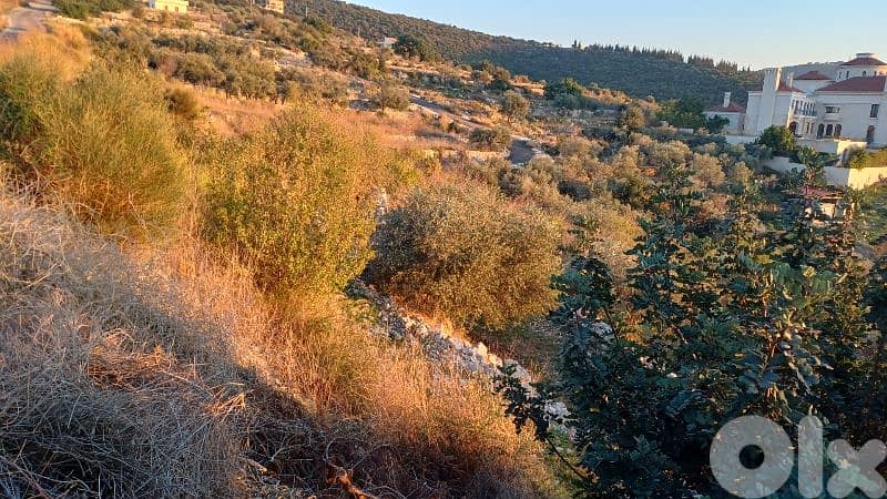 lands for sale in Kfar Abida أرض للبيع في كفرعبيدا 3