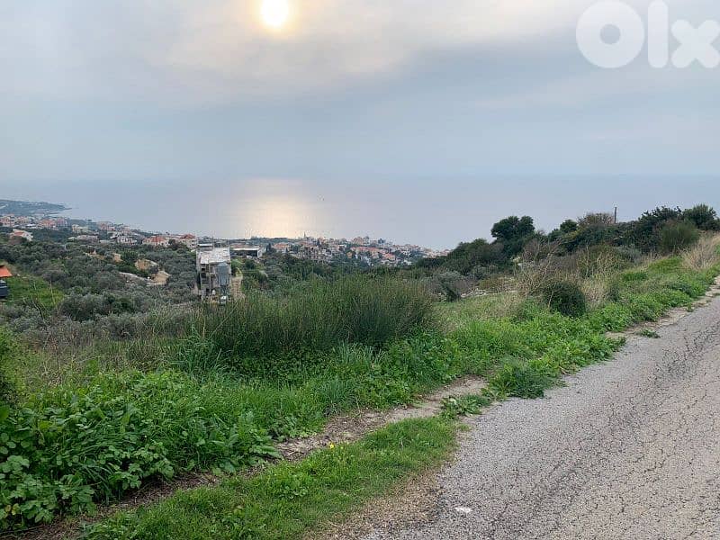 lands for sale in Kfar Abida أرض للبيع في كفرعبيدا 6