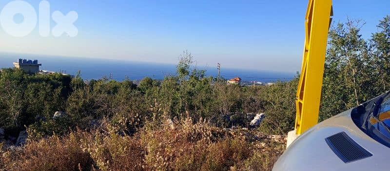 lands for sale in Ibrin أرض للببع في عبرين 3