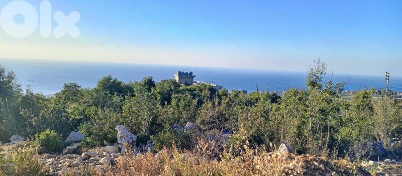 lands for sale in Ibrin أرض للببع في عبرين 4