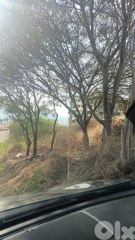 biaqout land for sale  ارض للبيع في بياقوت 1