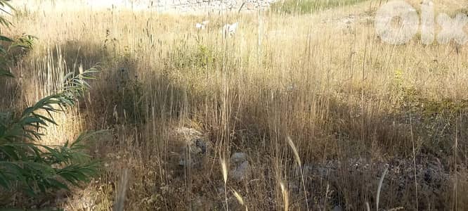 RWK176GZ - Land for sale in Tilal Al Assal