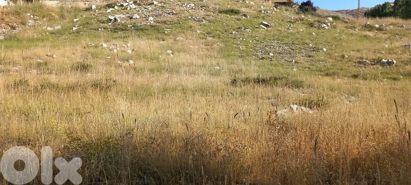 RWK176GZ - Land for sale in Tilal Al Assal 1