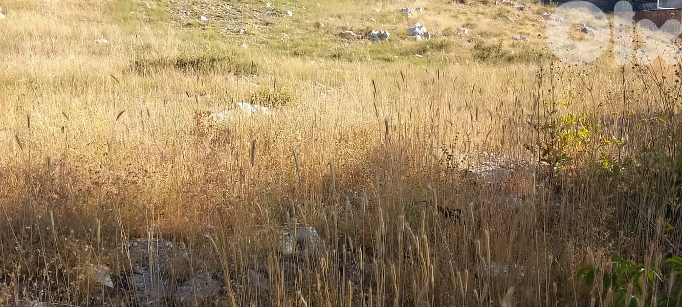 RWK176GZ - Land for sale in Tilal Al Assal 2