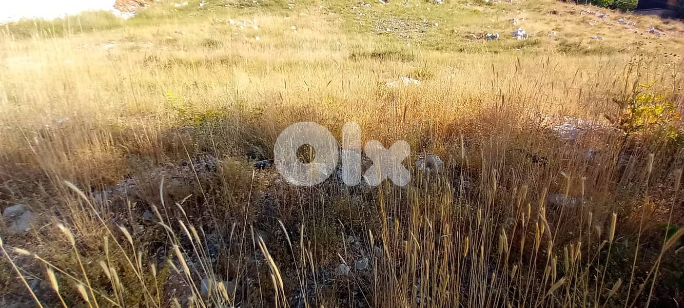 RWK176GZ - Land for sale in Tilal Al Assal 3