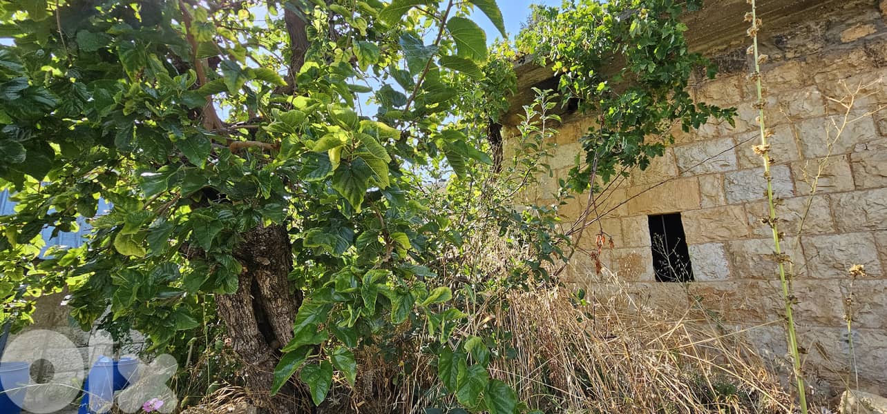 RWK187GZ - Land with Old house for sale in Kfardebian 11