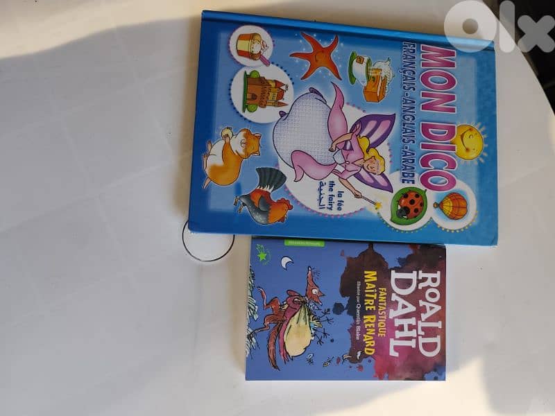 grande collection de 29 livres bande dessinees,en tres bon etat 3