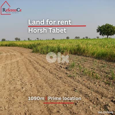 Land for rent in Horsh Tabet ارض للايجار في حرش تابت