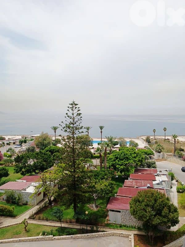 Beautiful &relaxing chalet-studio 1