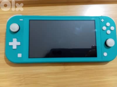 Nintendo lite