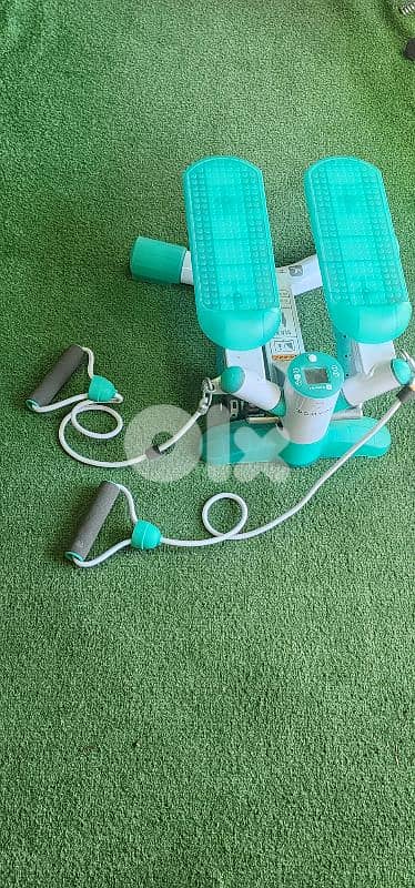 Stepper Machine Geo Gym Equipment معدات رياضية متنوعة 3
