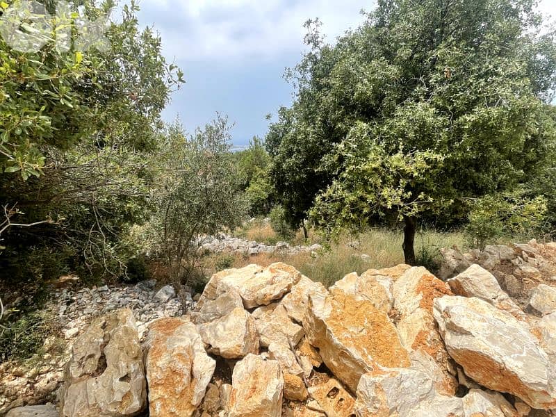 RWK326JA - Land for sale in Chnaneir Keserwan 1