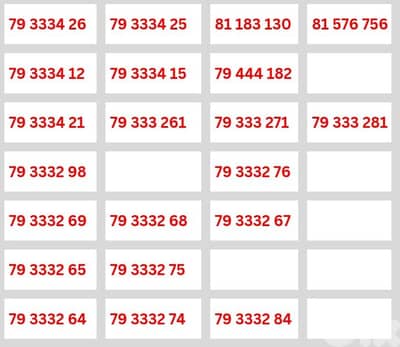 SPECIAL ALFA RECHARGES NUMBERS