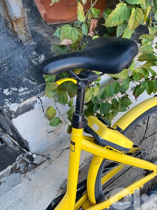 OFO bicycle 26 1