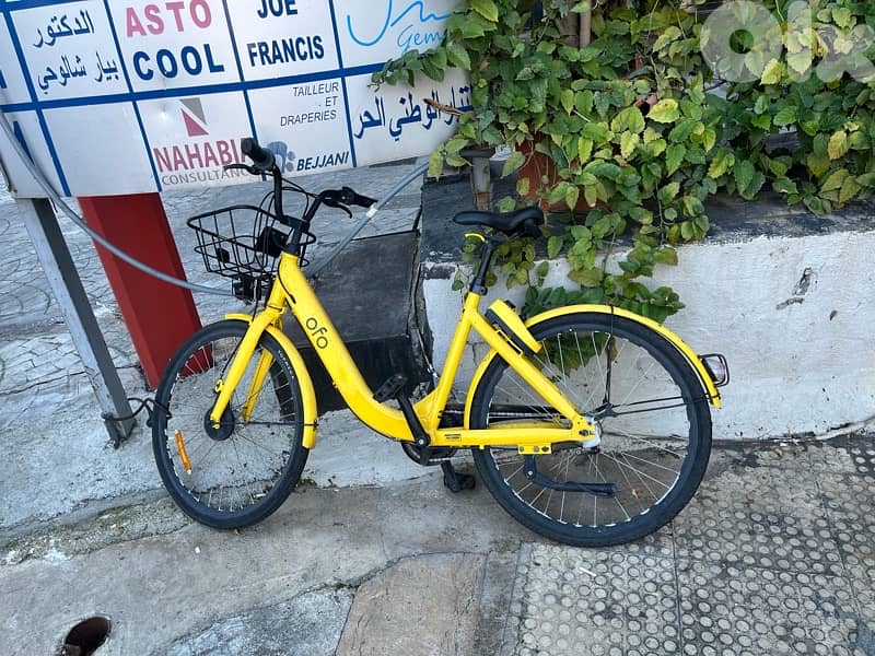 OFO bicycle 26 2