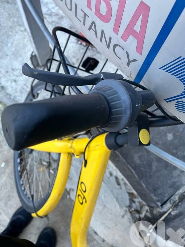 OFO bicycle 26 4